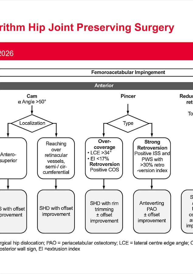 Poster Behandlungsalgorithmus Hu¨ftsymposium 2026