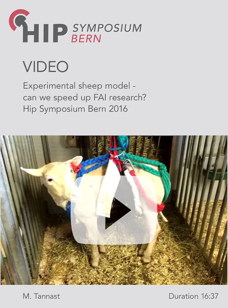 M. Tannast - Experimental sheep model - can we speed up FAI research? - Hip Symposium 2016