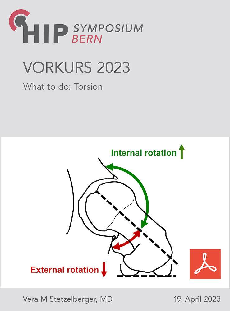 Hip Vorkurs 2023 - Stetzelberger - What to do: torsion